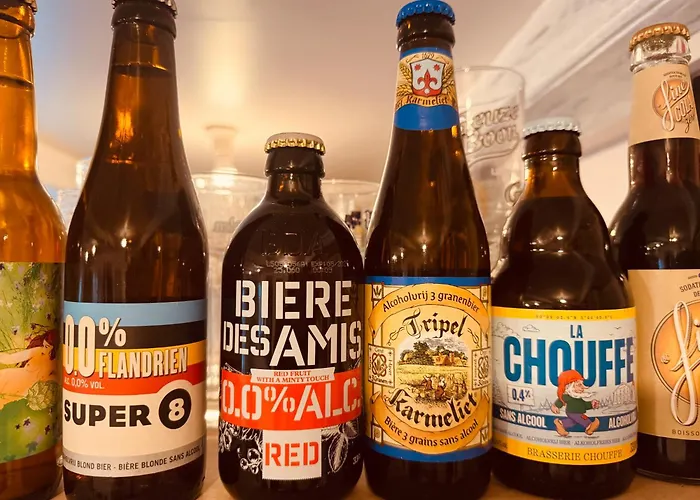 Belgica-melay 52400 Bed & Breakfast 3*